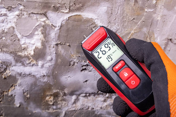 Best Emergency Mold Remediation in Csar Chvez, TX