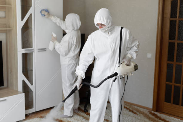 Best Industrial Mold Remediation in Csar Chvez, TX